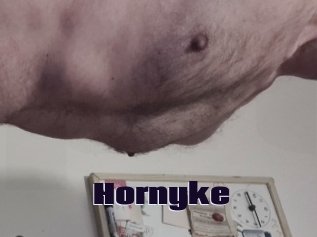 Hornyke