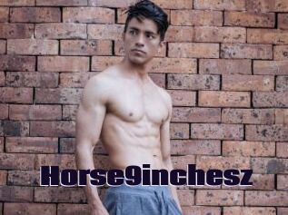 Horse9inchesz