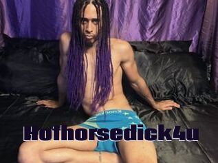 Hothorsedick4u