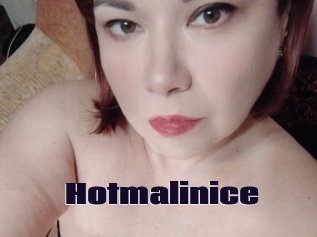 Hotmalinice