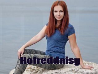 Hotreddaisy