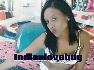 Indianlovebug