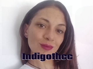 Indigothcc