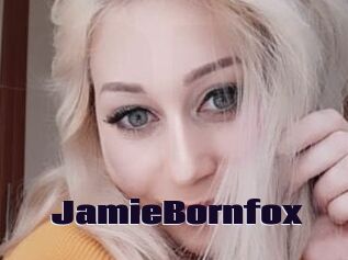 JamieBornfox