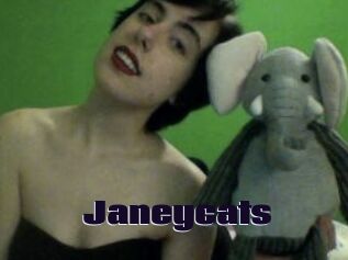 Janeycats