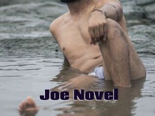 Joe_Novel