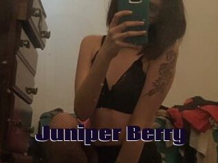 Juniper_Berry