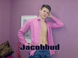 Jacobbud