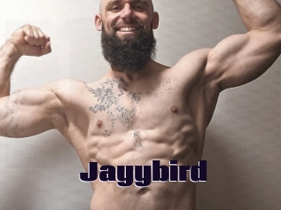 Jayybird