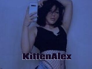 KittenAlex