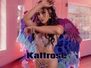 Kattrose