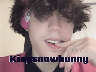 Kingsnowbunny