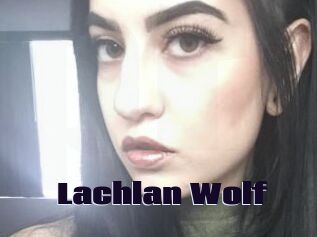 Lachlan_Wolf