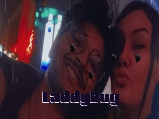 Laddybug