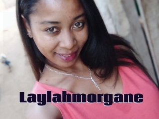 Laylahmorgane