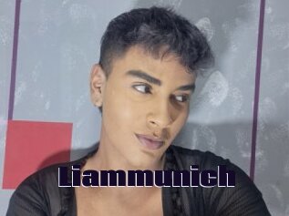 Liammunich
