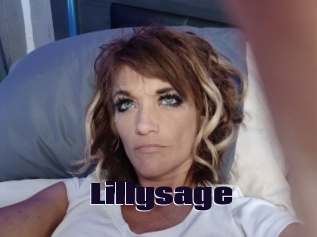 Lillysage