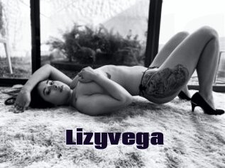 Lizyvega