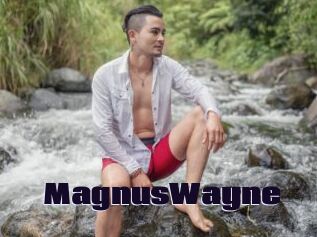 MagnusWayne