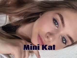 Mini_Kat