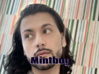 Mintboy