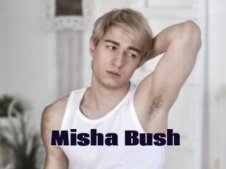 Misha_Bush