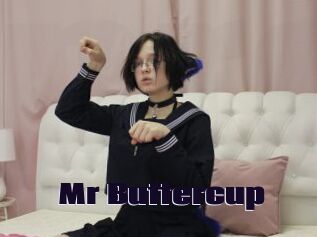 Mr_Buttercup