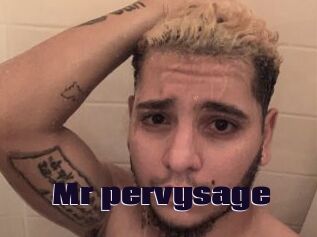 Mr_pervysage