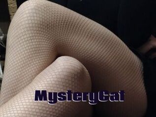 Mystery_Cat