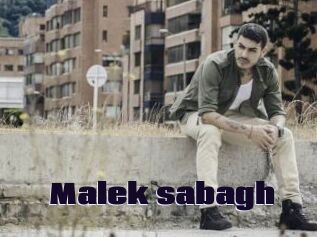 Malek_sabagh