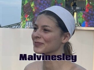 Malvinesley