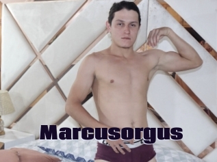 Marcusorgus