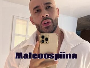 Mateoospiina