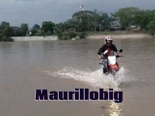 Maurillobig