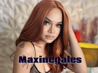 Maxinegales