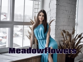 Meadowflowers