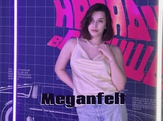 Meganfelt