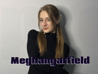 Meghangarfield