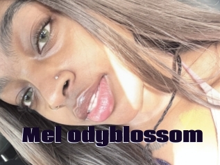 Mel_odyblossom