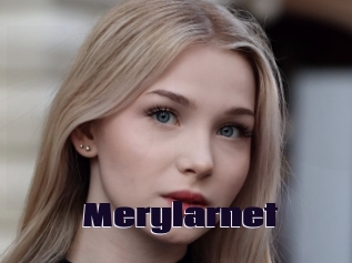 Merylarnet