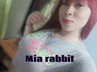 Mia_rabbit