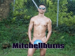 Mitchellburns