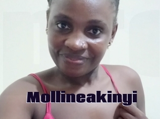 Mollineakinyi