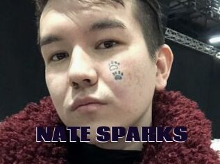 NATE_SPARKS
