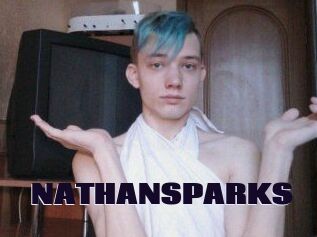 NATHAN_SPARKS