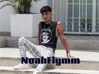 NoahFlymm