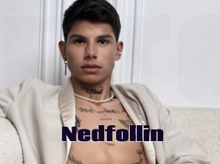 Nedfollin