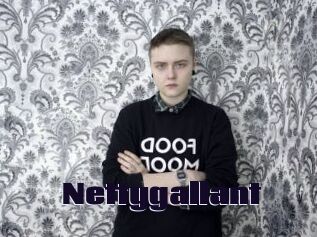 Nettygallant