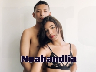 Noahandlia