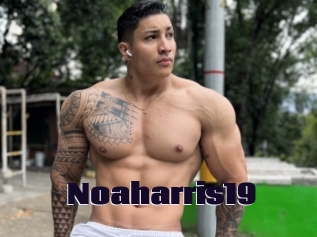 Noaharris19